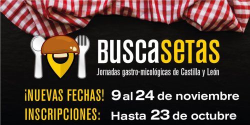 IMAGEN BUSCASETAS2019